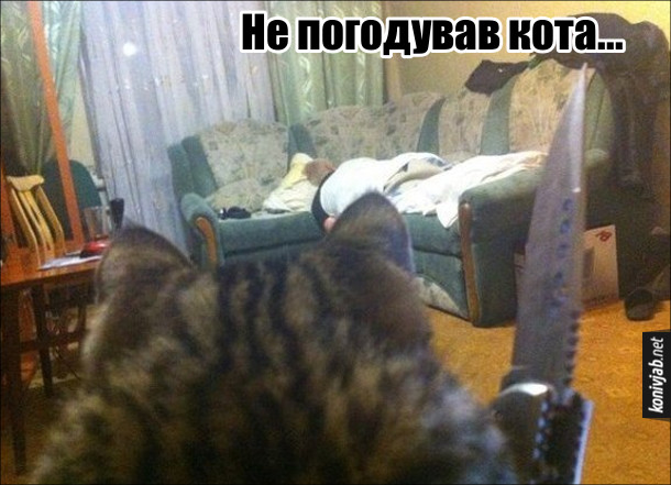 Прикол. Не погодував кота, кіт з ножем підходить до господаря, що спить