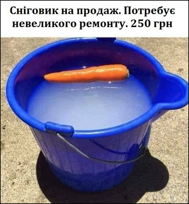 Прикол Сніговик розтанув. На фото: відро з водою, де плаває морквина. Оголошення: Сніговик на продаж. Потребує невеликого ремонту. 250 грн.