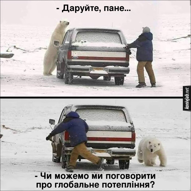 Смішна картинка про ведмедя. В Канаді білий бедмідь бігає за водієм навколо автомобіля з криком: - Даруйте, пане... Чи можемо ми поговорити про глобальне потепління?