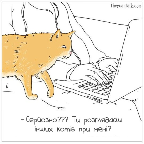 Жарт Ревнивий кіт. Господар сидить за ноутбуком. Підійшов кіт, глянув на монітор і шоковано питає: - Серйозно??? Ти розглядаєш інших котів при мені?