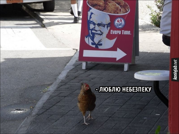 Прикол Курка ходить поблизу ресторану KFC. Каже: - Люблю небезпеку