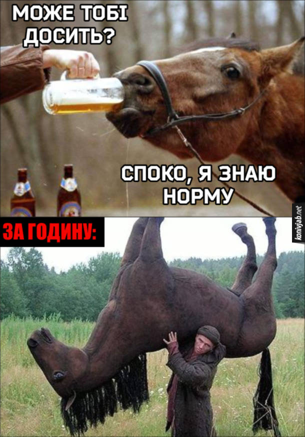 Кінь п'є пиво. Чоловік питає: - Може тобі досить? Кінь: - Споко, я знаю норму. За годину чоловік несе п'яного коня