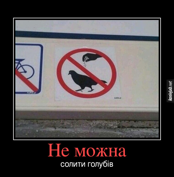 Прикол Заборона годувати голубів. Але табличка намальована так, ніби: "Не можна солити голубів"