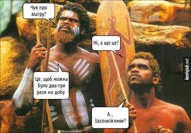Смішна картинка про віагру. Два австралійські аборигени балакають. - Чув про віагру? - Ні, а що це? - Це, щоб можна було два-три рази на добу. - А... Заспокійливе?