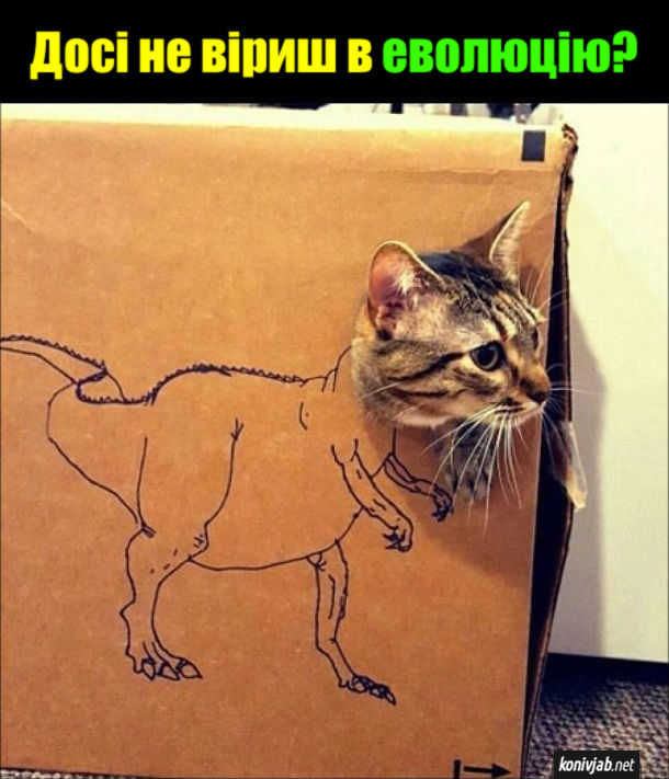 Прикол Кіт-динозавр. Досі не віриш в еволюцію?