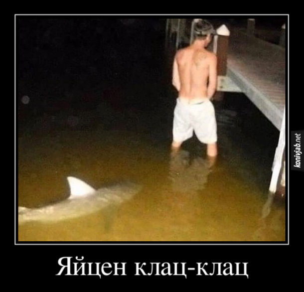 Демотиватор Акула. Хлопець стоїть у воді біля пірсу і сцить. Ззаду підпливає акула. Яйцен клац-клац