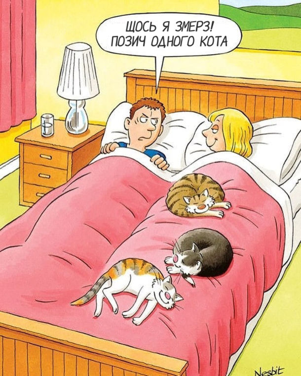 Смішний малюнок Коти сплять в ліжку, лежачи на господині. Господар: - Щось я змерз! позич одного кота.