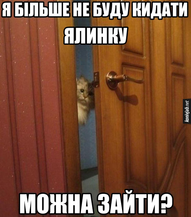 Прикол Кіт нашкодив. Кіт заглядає в двері: - Я більше не буду кидати ялинку. Можна зайти?