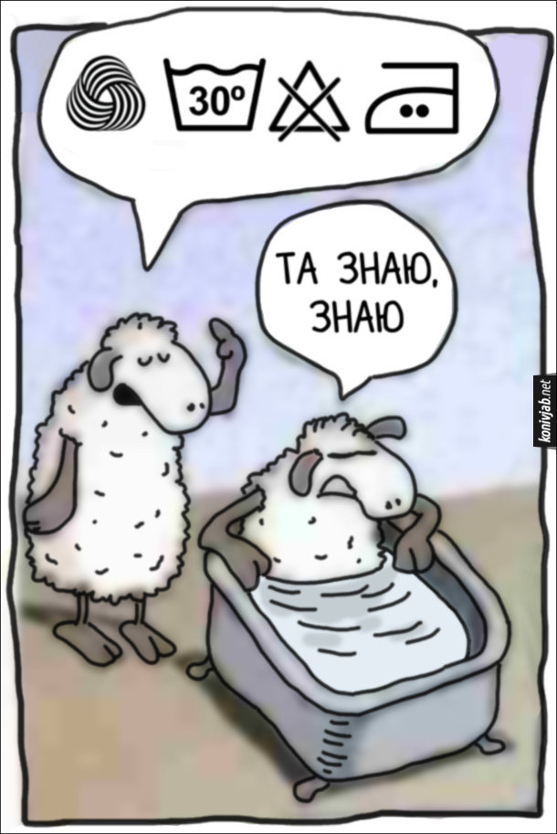 Смішний малюнок про овець. Одна вівця залізла у ванну, а інша розказує про правила догляду за вовною. Вівця у ванній: - Та знаю, знаю