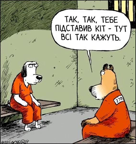 Смішний малюнок Собаки у в'язниці. "Так, так, тебе підставив кіт - тут всі так кажуть".
