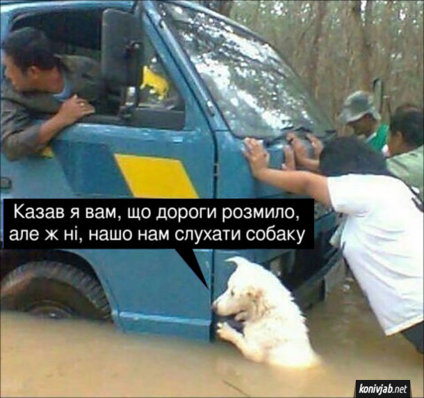 Прикол Собака допомагає витягти машину з болота. "Казав я вам, що дороги розмило, але ж ні, нашо нам слухати собаку"