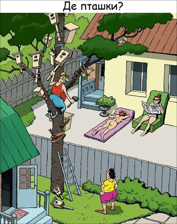 Смішний малюнок Оголені сусідки. Сусід постійно сидить на дереві і прибиває шпаківні. Дружина: - Де пташки? 