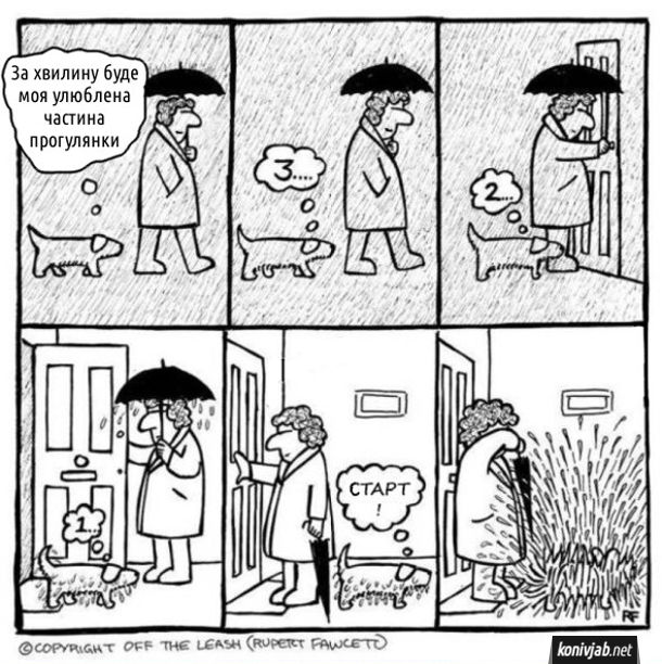 Смішний комікс Прогулянка з собакою під дощем. Жінка гуляє з собакою під дощем. Собака думає: - За хвилину буде моя улюблена частина прогулянки. 3... 2... 1.... (зайшли в хату) Старт! (починає обтрушуватись і обдає хазяйку водою з ніг до голови)