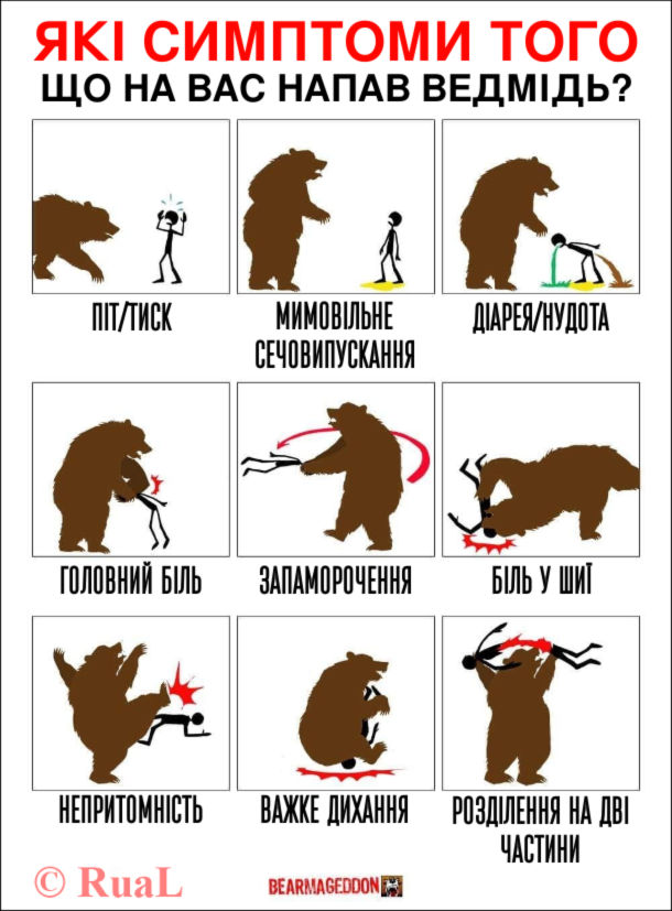 Чорний гумор Напад ведмедя. Які симптоми того, що на вас напав ведмідь? Піт/тиск, мимовільне сечовипускання, діарея/нудота, головний біль, запаморочення, біль у шиї, непритомність, важке дихання, розділення на дві частини