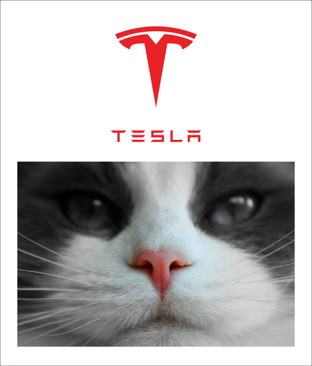 Прикол Що означає логотип Tesla