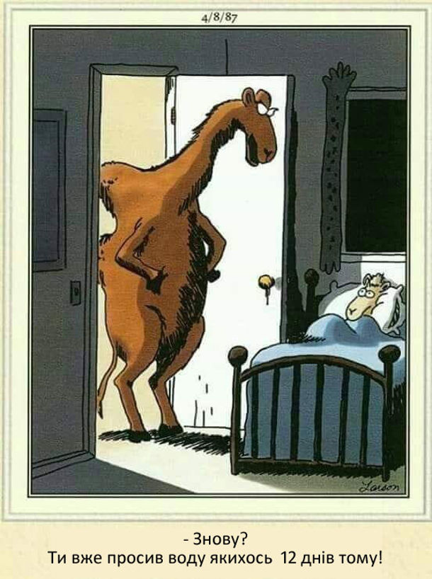 Смішний малюнок про верблюдів. Верблюденя в ліжечку. Верблюд до нього: - Знову? Ти вже просив воду якихось 12 днів тому!