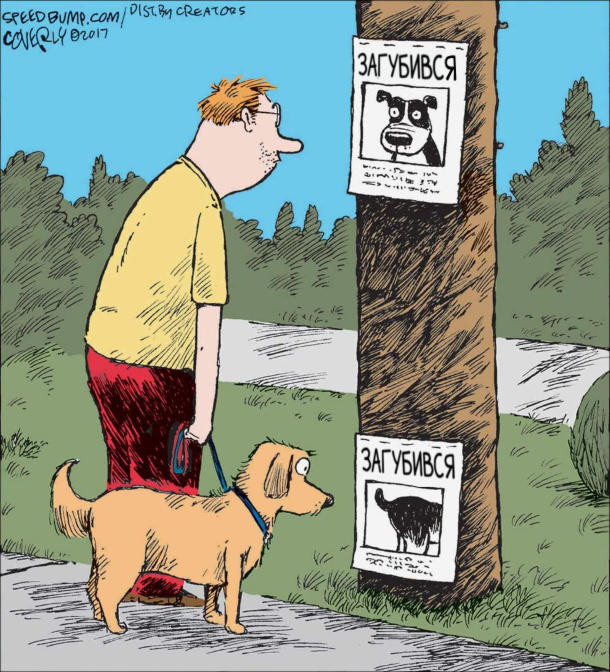 Смішний малюнок Оголошення Загубився собака. Для людей - фото морди, для собак - дупа