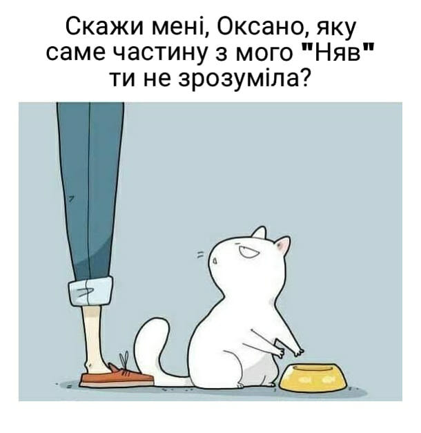 Смішний малюнок про кота і господиню. Кіт, показуючи на порожню миску: - Скажи мені, Оксано, яку саме частину мого "Няв" ти не зрозуміла?
