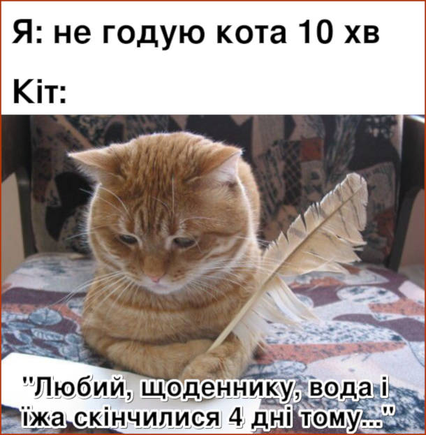Мем Кіт хоче їсти. Я: не годую кота 10 хв. Кіт: "Любий щоденнику, вода і їжа скінчилися 4 дні тому..."