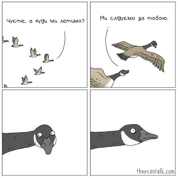 Смішний комікс про летючих гусей. Летять гуси. Один гусак питає: - Чуєте, а куди ми летимо? Йому відповідають: - Ми слідуємо за тобою