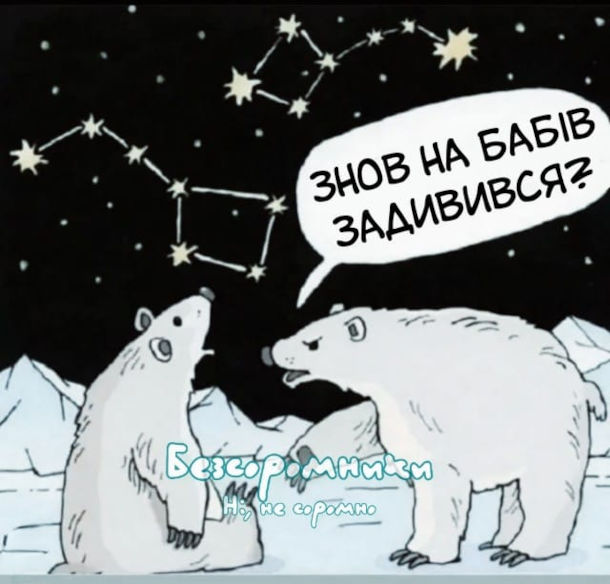 Смішний малюнок про білих ведмедів. Ведмідь дивиться на сузір'я великої і малої ведмедиці. Ведмедиха до нього: - Знов на бабів задивився?
