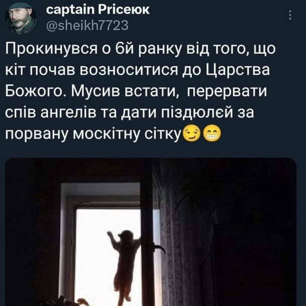 Прикол Кіт на москітній сітці. Прокинувся о 6й ранку від того, що кіт почав возноситися до Царства Божого. Мусив встати, перервати спів ангелів та дати піздюлєй за порвану москітну сітку