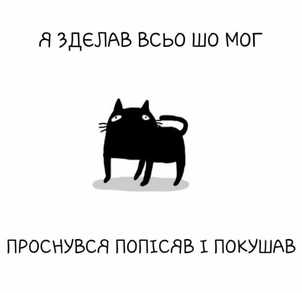 Смішний малюнок про типового кота. - Я сдєлав всьо шо мог. Проснувся попісяв і покушав